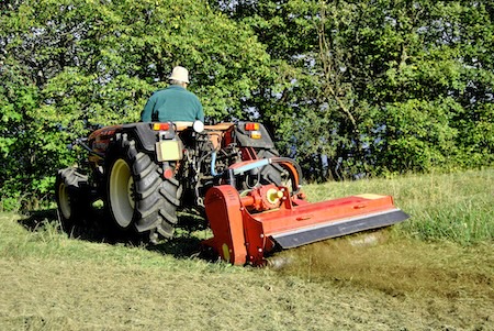 Bush Hogging vs. Standard Mowing: Which One Does Your Tallahassee Property Need?