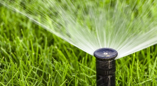 Irrigation Repair Warning Signs: Leaks, Low Pressure, and Dry Spots