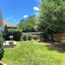Excellent-Backyard-Refresh-Bush-and-Tree-Trimming 0
