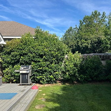 Excellent-Backyard-Refresh-Bush-and-Tree-Trimming 3