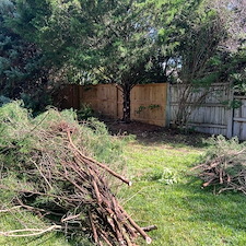 Excellent-Backyard-Refresh-Bush-and-Tree-Trimming 1