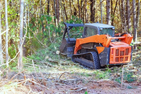 Land Clearing